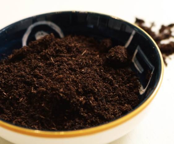 泥炭土種菜優缺點