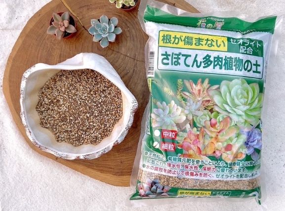 多肉土配方