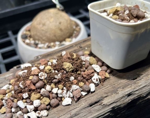 多肉專用土比較