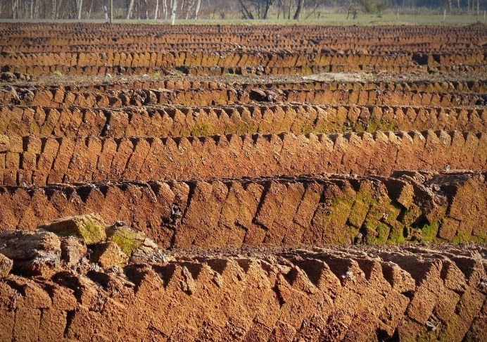 園藝用土選擇指南