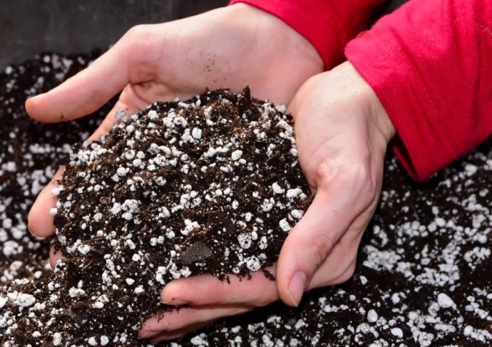 園藝用土選擇指南