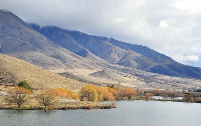 紐西蘭換匯技巧 紐西蘭換匯技巧