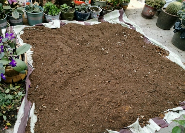 泥炭土消毒方法