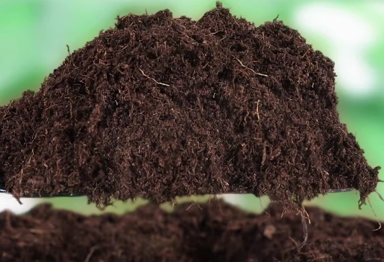 腐葉土泥炭土混合比例