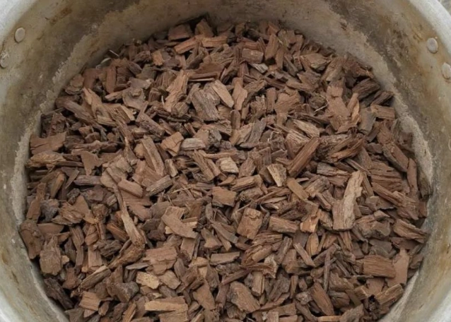 腐葉土泥炭土適用植物