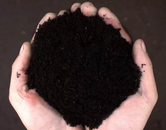 腐葉土泥炭土差異