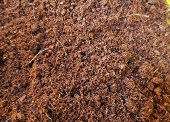 培養土太濕處理