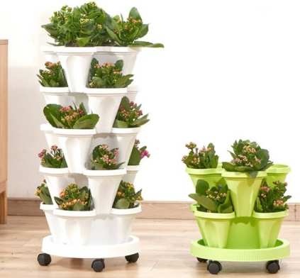 盆栽種菜用什麼土 盆栽種菜用什麼土