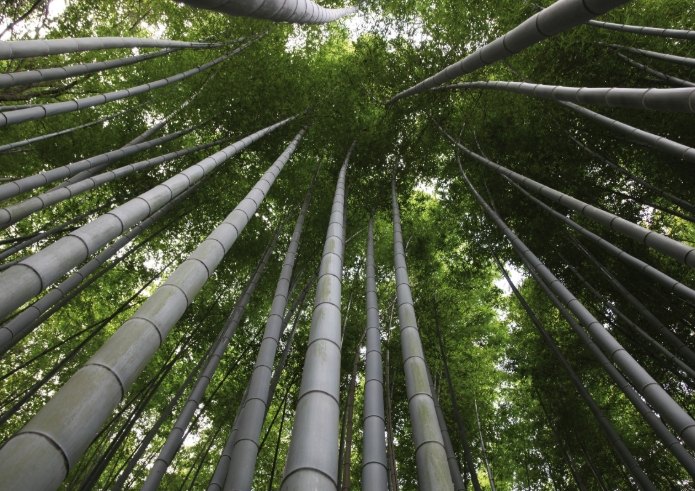 高壓法步驟 高壓法步驟