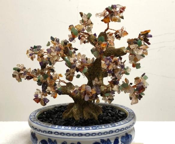 富貴樹風水 富貴樹風水