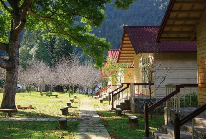 惠蓀林場兩天一夜 惠蓀林場兩天一夜