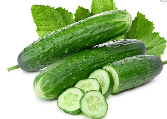 小黃瓜保存方式