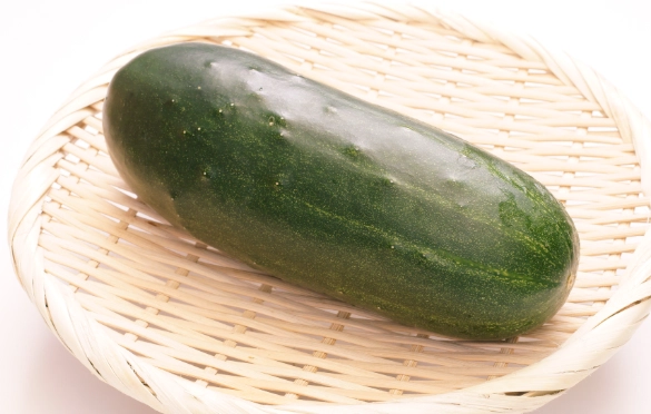 水果胡瓜病蟲害防治