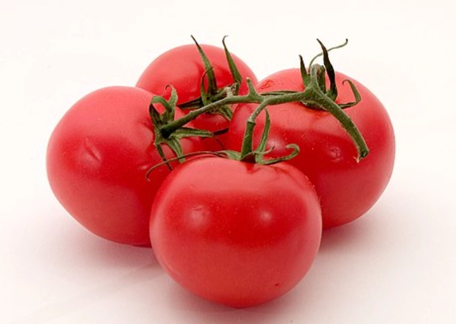 番茄結果方法