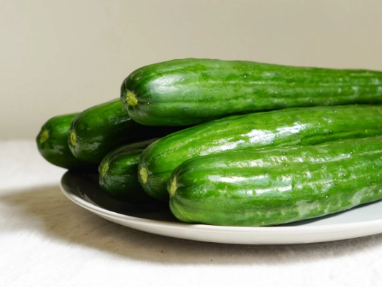 小黃瓜種植技巧