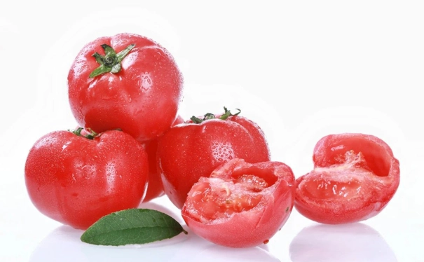 牛番茄最佳種植季節