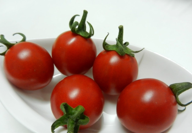 飯後吃蕃茄好處