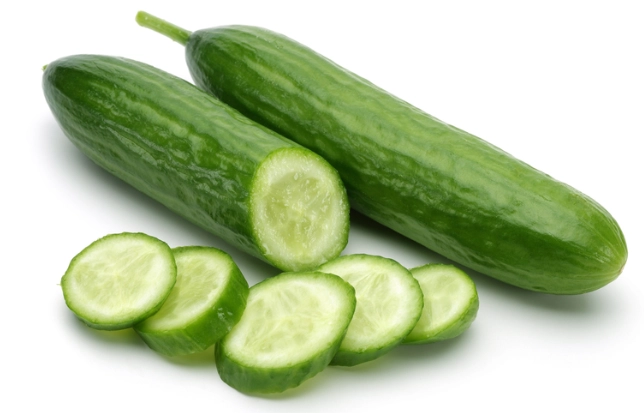 小黃瓜種子發芽