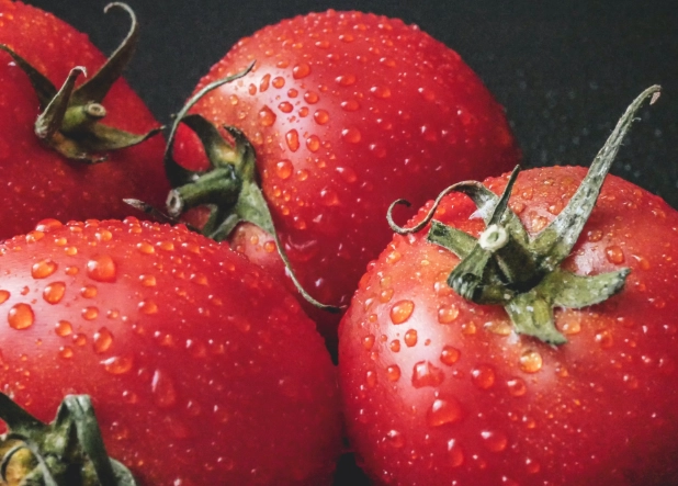 番茄掉果防治 番茄掉果防治