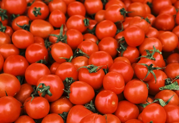 番茄低溫儲存技巧 番茄低溫儲存技巧