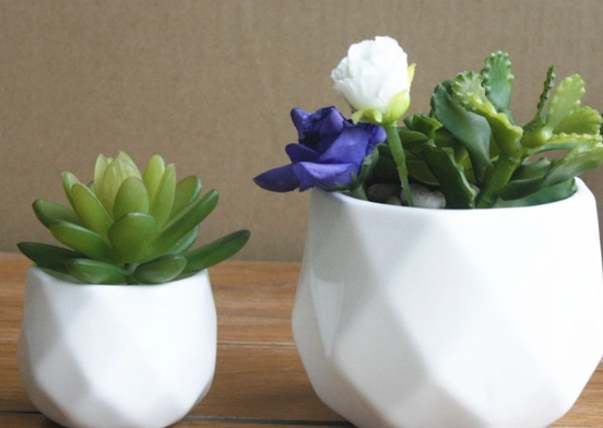 陶瓷盆栽養護方法