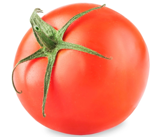 西紅柿種植技巧