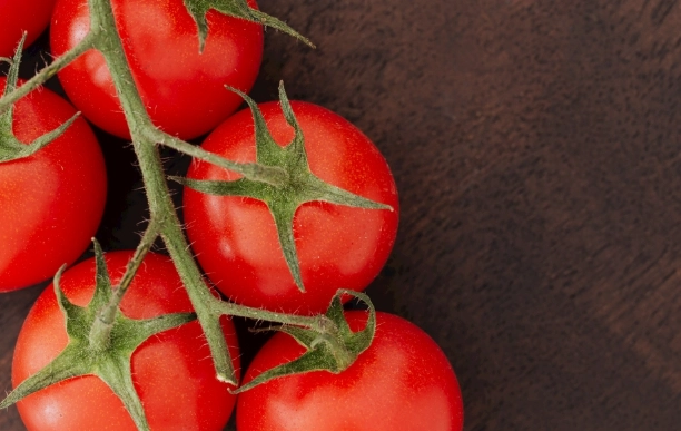 牛番茄施肥技巧