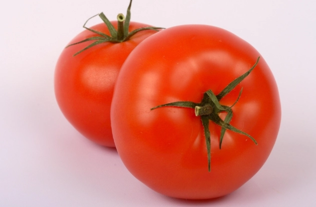 番茄徒長處理 番茄徒長處理