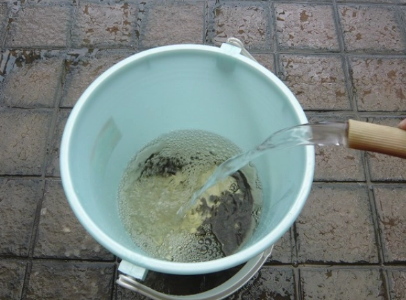 DIY植物營養液 DIY植物營養液