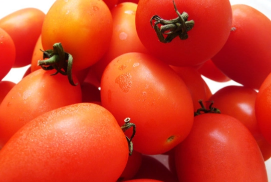 食物相剋拉肚子