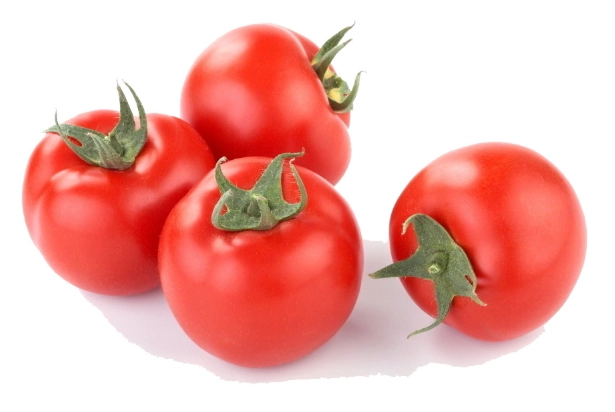 軟番茄食譜 軟番茄食譜