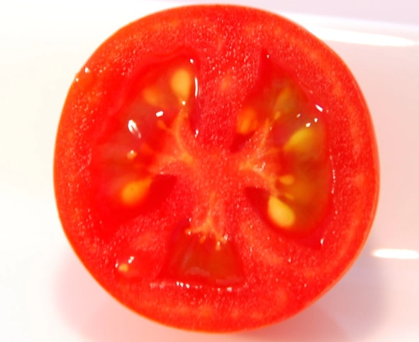 蕃茄營養價值 蕃茄營養價值