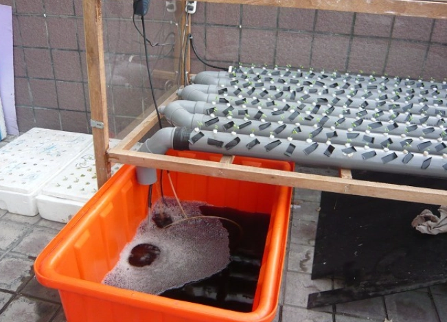 有機植物肥料 有機植物肥料