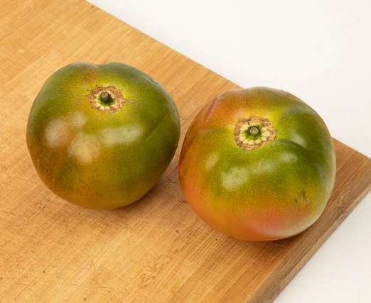 黑柿番茄种植技巧