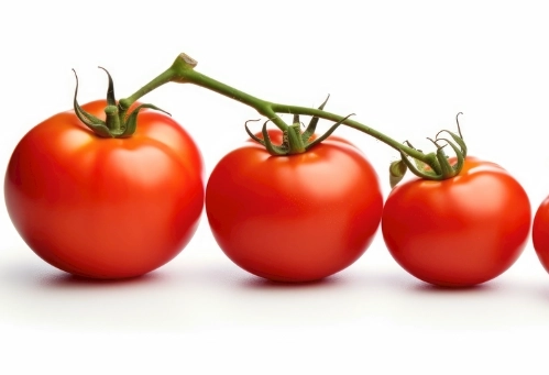 番茄种植技术 番茄种植技术