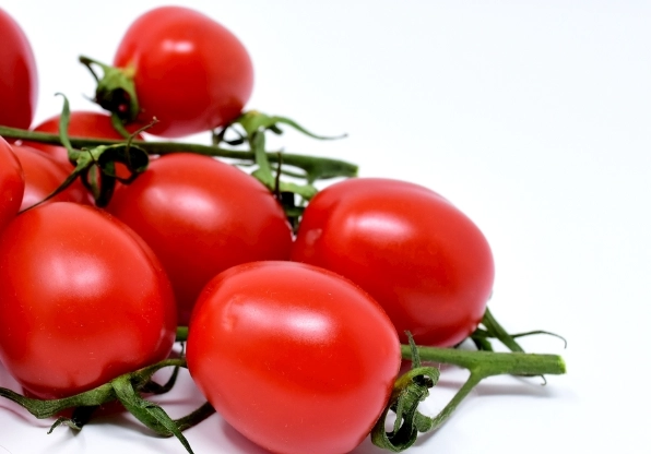 番茄掉果防治 番茄掉果防治