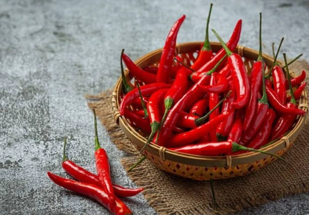 辣椒盆栽澆水注意事項