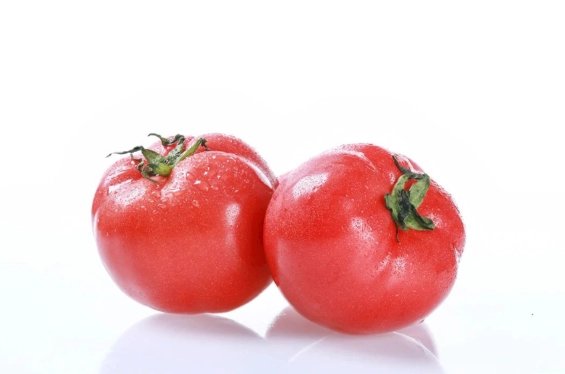 番茄種植肥料選擇