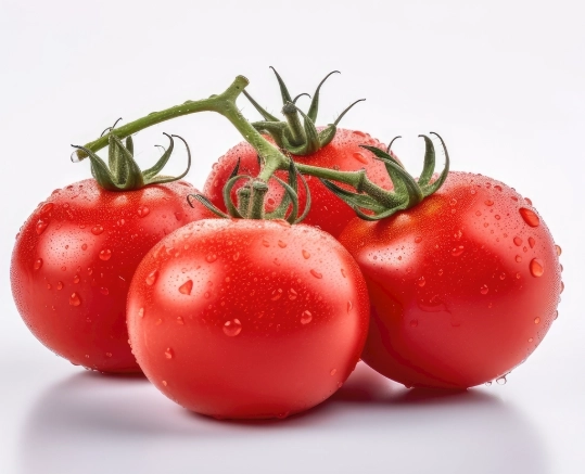 番茄病蟲害防治