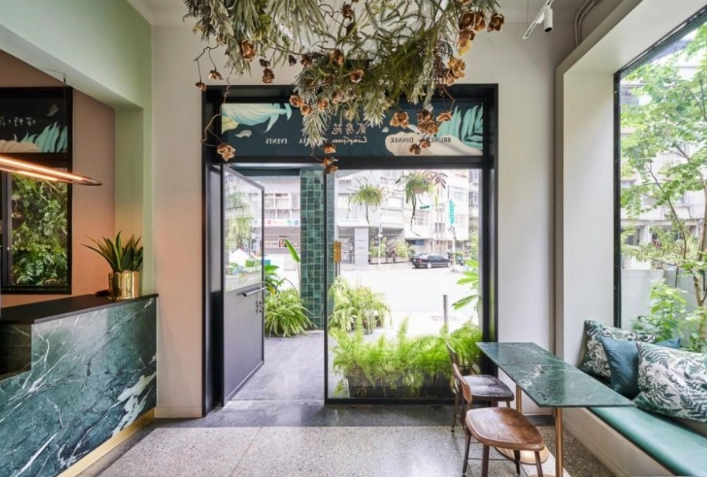 懶人室內植物 懶人室內植物