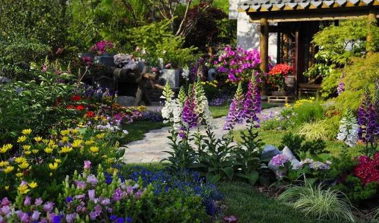 懶人花園設計 懶人花園設計