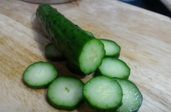 小黃瓜盆栽技巧