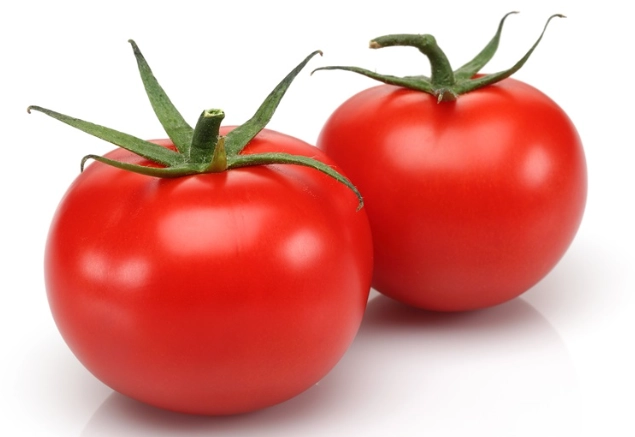 家庭種番茄 家庭種番茄