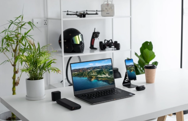 DIY植物營養液 DIY植物營養液