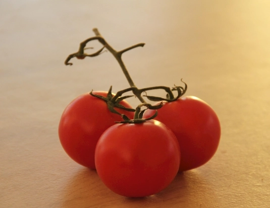 番茄掉果防治 番茄掉果防治