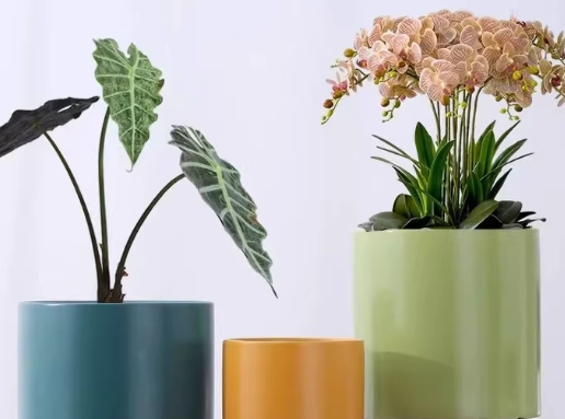 陶瓷盆栽推薦