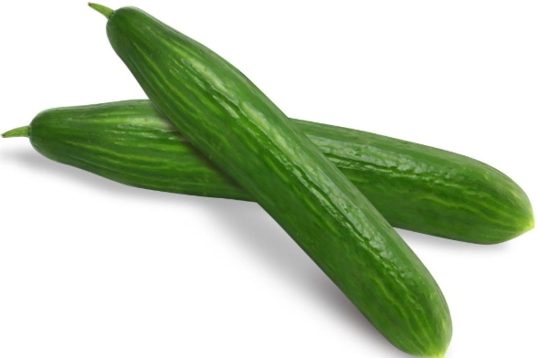 小黃瓜授粉方法