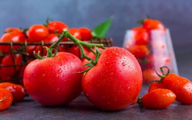 番茄結果期施肥 番茄結果期施肥