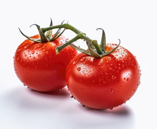 番茄種植肥料選擇