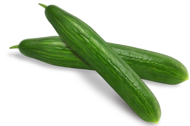 黃瓜發芽營養變化